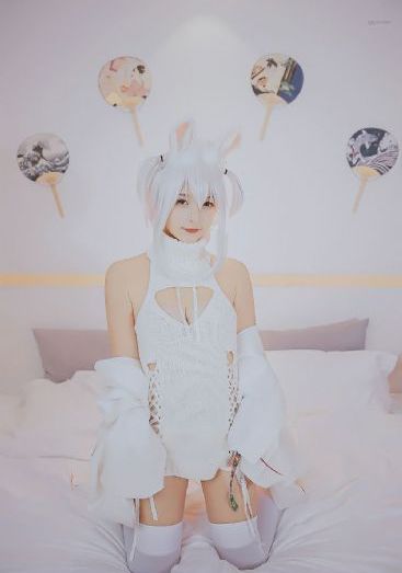 支配物种