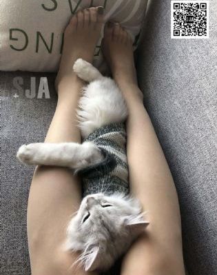 电影下载网