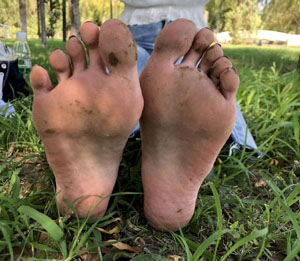 北风那个吹电视剧全集免费观看