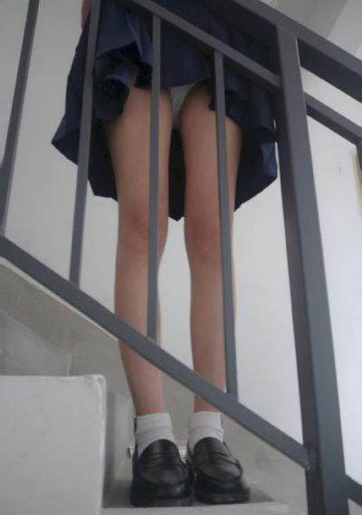 石纪元免费观看第一季