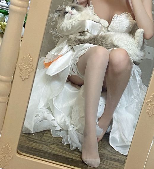 欢乐颂1免费观看全集