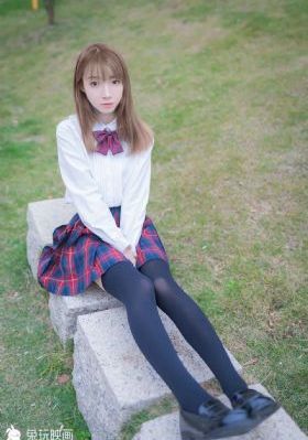 屋顶的大象