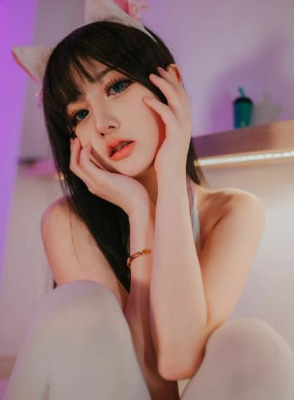 1—36集电视剧免费观看