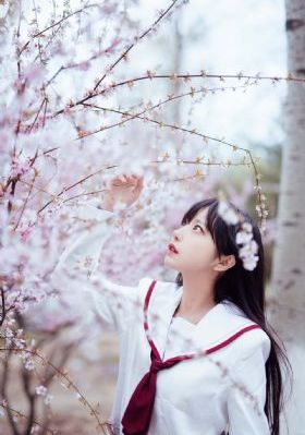 华丽的外出在线看